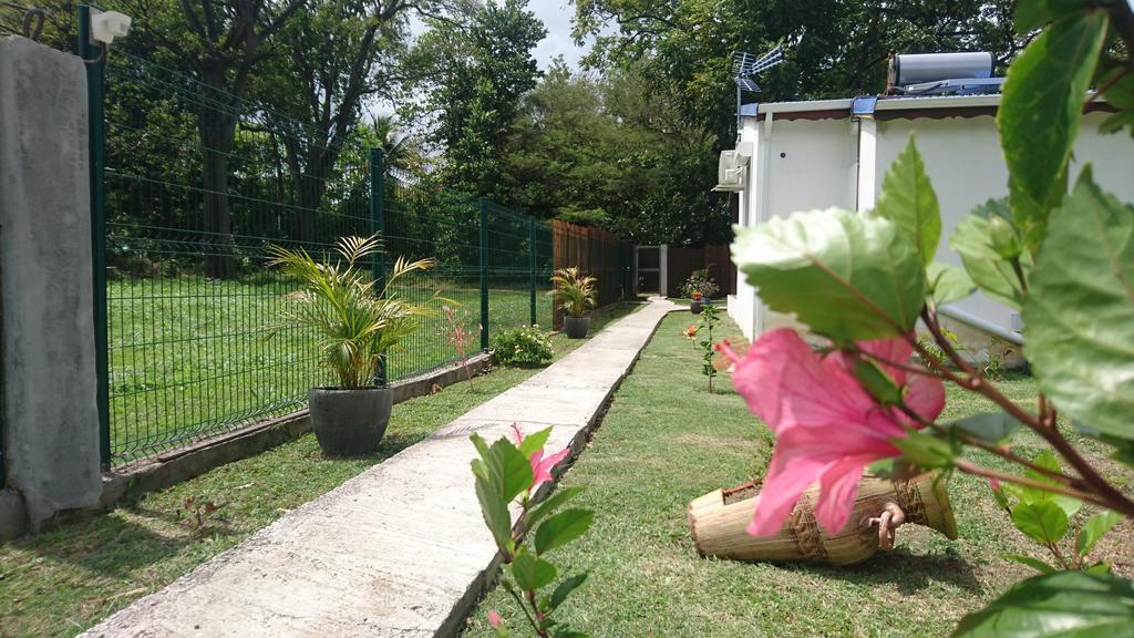 Reve Creole Villa Deshaies Exterior foto