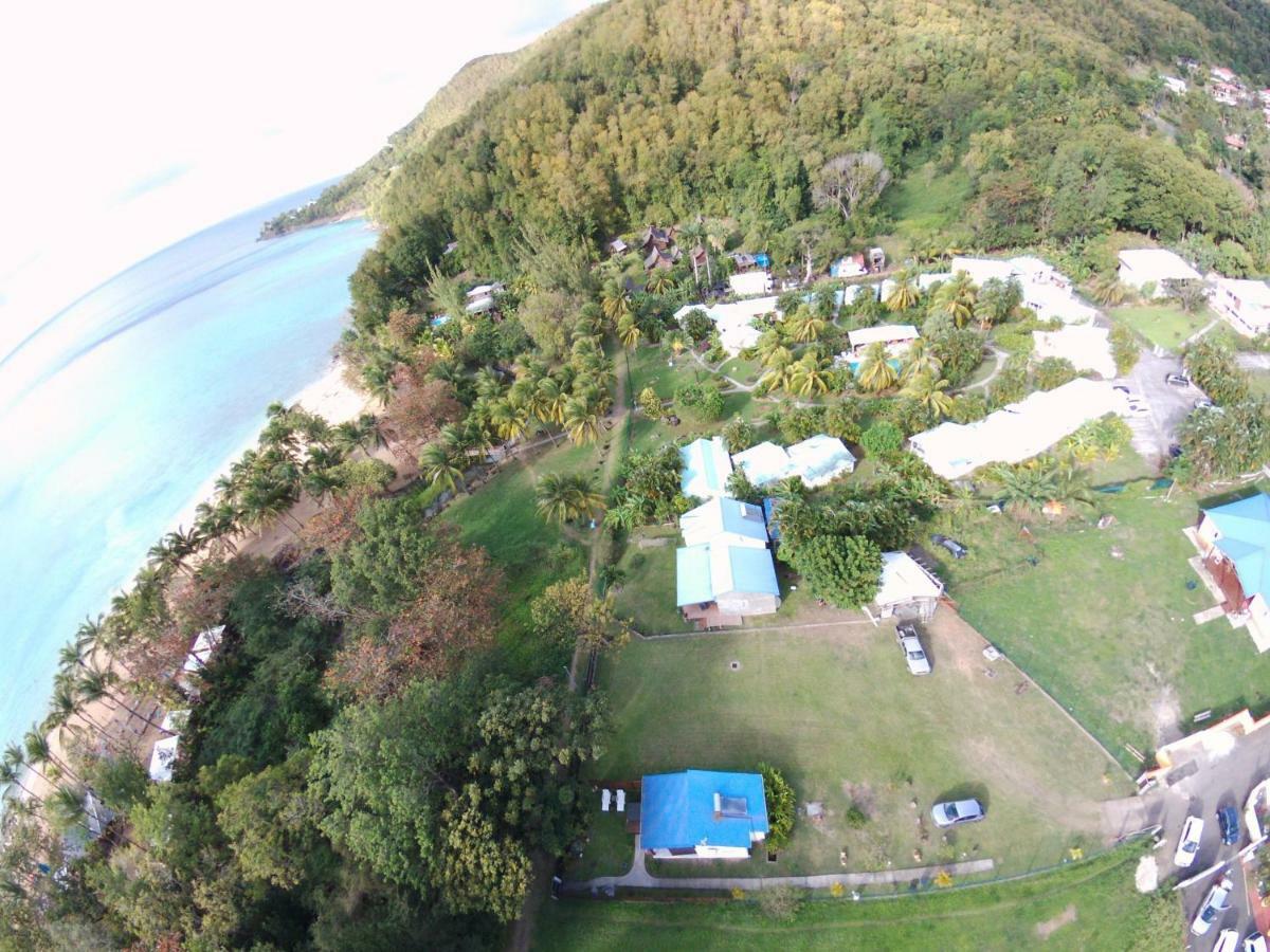 Reve Creole Villa Deshaies Exterior foto
